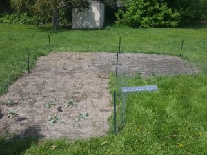 Livingston County Offender Success garden bed